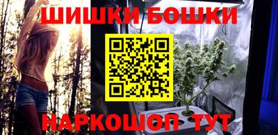 индика Можайск