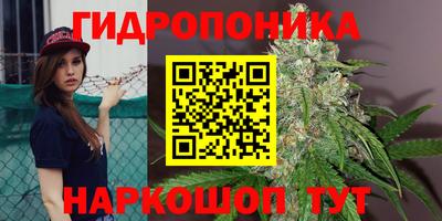 гашик Мариинск