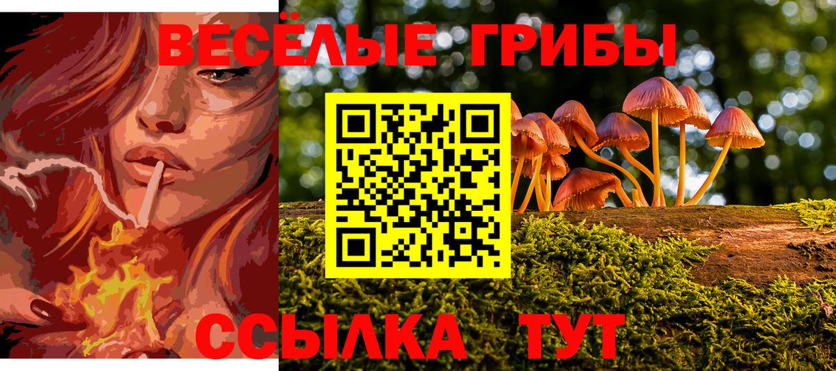 Галлюциногенные грибы Cubensis  Псилоцибиновые грибы Psilocybine cubensis  Калач-на-Дону  Вход с VPN 